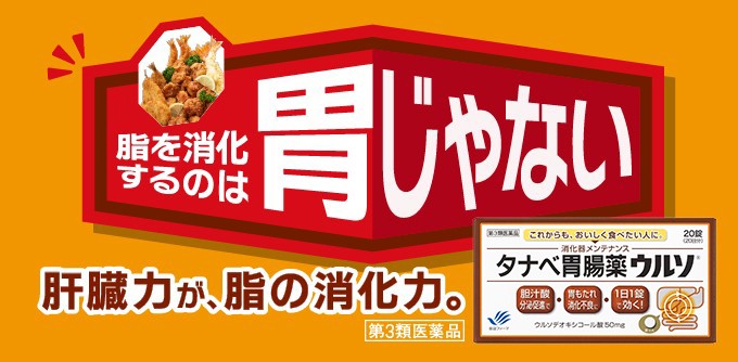 タナベ胃腸薬ウルソ