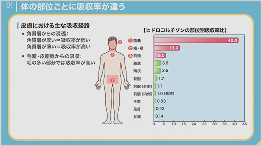 ステロイド外用剤の吸収率が高い部位は？