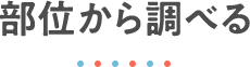 部位から調べる