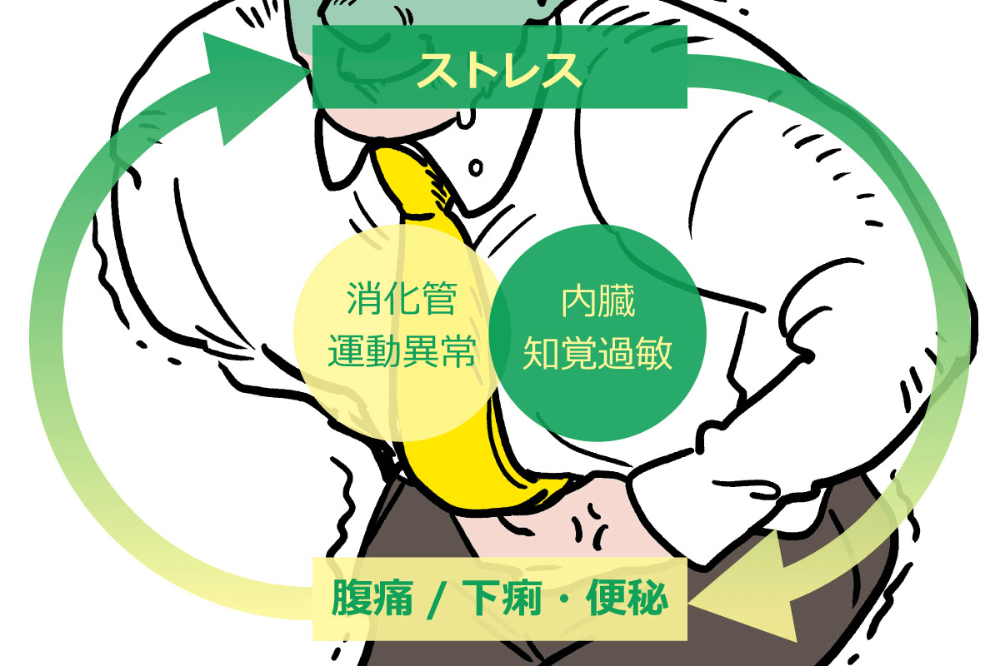 脳と腸が引き起こす悪循環「IBSスパイラル」とは?