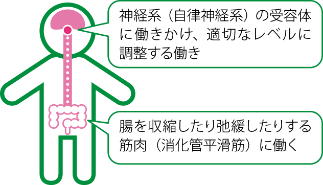 セレキノンSポイント！