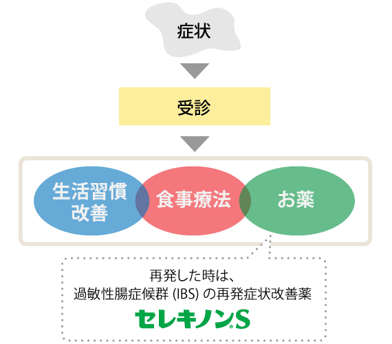 過敏性腸症候群（IBS）の改善までの流れ