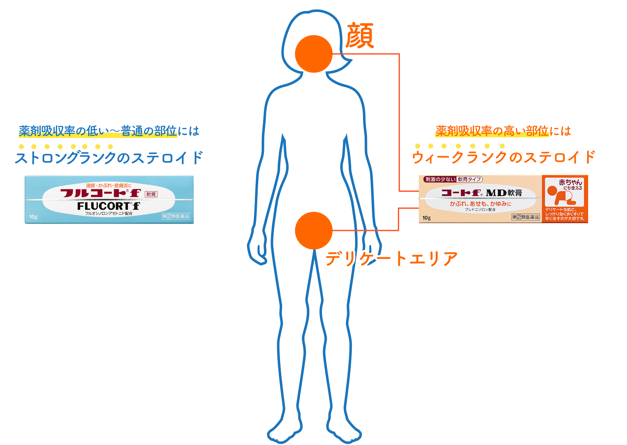 部位に適したラインナップ