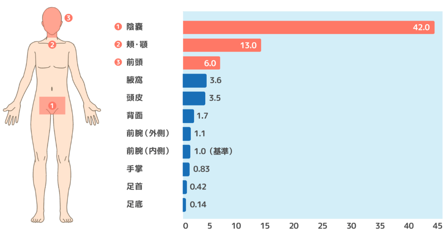 患部の皮膚の厚さ