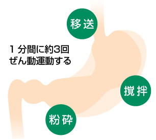 ぜん動運動の図
