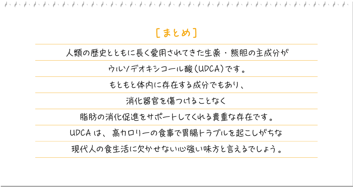 ［まとめ］人類の歴史とともに長く愛用されてきた生薬・熊胆の主成分がウルソデオキシコール酸（UDCA）です。もともと体内に存在する成分でもあり、消化器官を傷つけることなく脂肪の消化促進をサポートしてくれる貴重な存在です。UDCAは、高カロリーの食事で胃腸トラブルを起こしがちな現代人の食生活に欠かせない心強い味方と言えるでしょう。