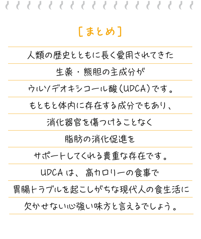 ［まとめ］人類の歴史とともに長く愛用されてきた生薬・熊胆の主成分がウルソデオキシコール酸（UDCA）です。もともと体内に存在する成分でもあり、消化器官を傷つけることなく脂肪の消化促進をサポートしてくれる貴重な存在です。UDCAは、高カロリーの食事で胃腸トラブルを起こしがちな現代人の食生活に欠かせない心強い味方と言えるでしょう。