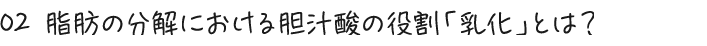 02 脂肪の分解における胆汁酸の役割「乳化」とは？