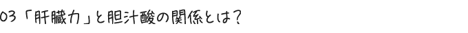 03 「肝臓力」と胆汁酸の関係とは？