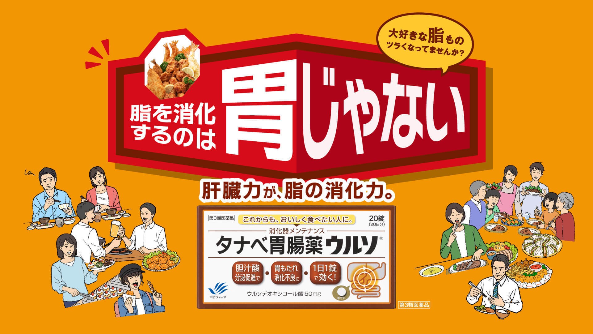 肝臓力が脂の消化力「タナベ胃腸薬ウルソ」