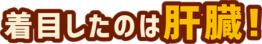 着目したのは肝臓!