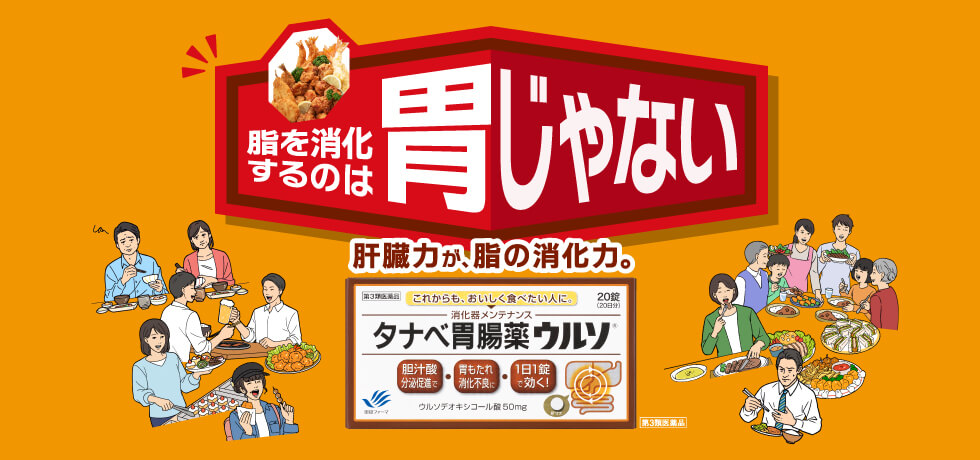 タナベ胃腸薬ウルソ