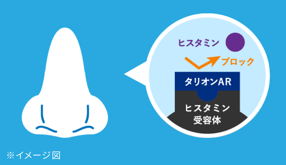 鼻でのヒスタミンの作用を抑制し、くしゃみ・鼻水・鼻づまりを改善　イラスト